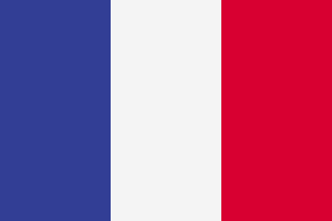 Ikonka FR vlajka